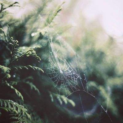 三门峡房价截图